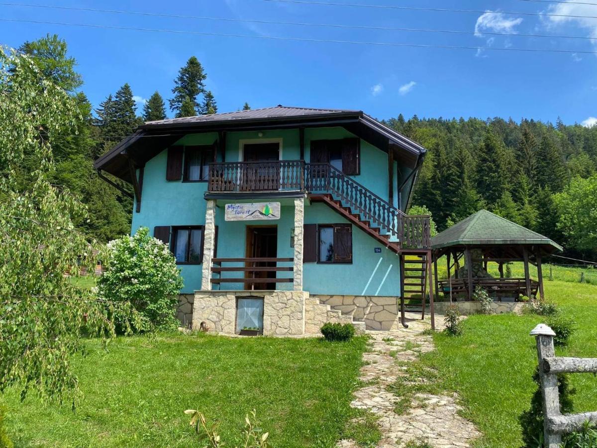 Mystic Forest Hostel Mitrovac Exterior photo