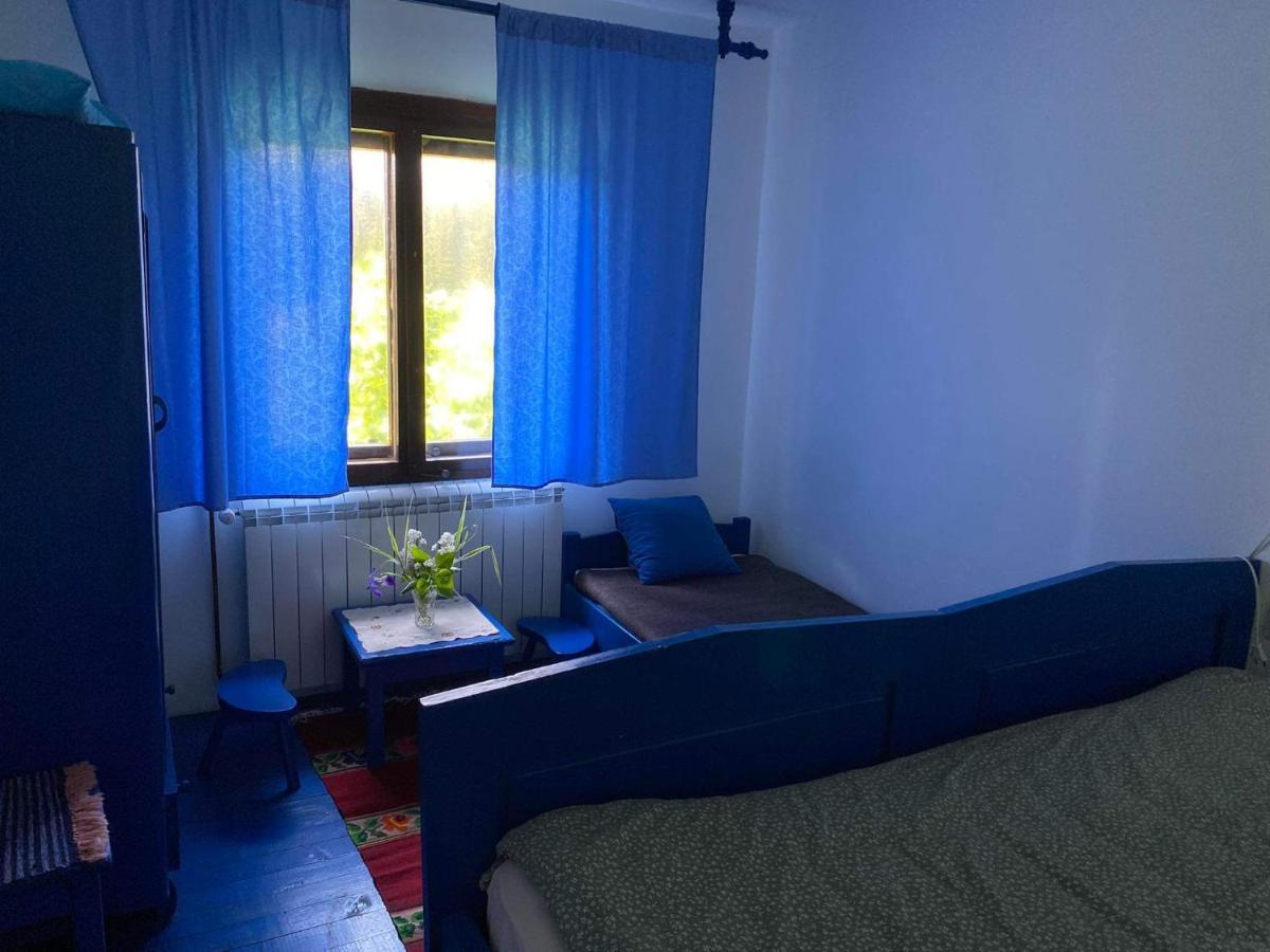 Mystic Forest Hostel Mitrovac Exterior photo