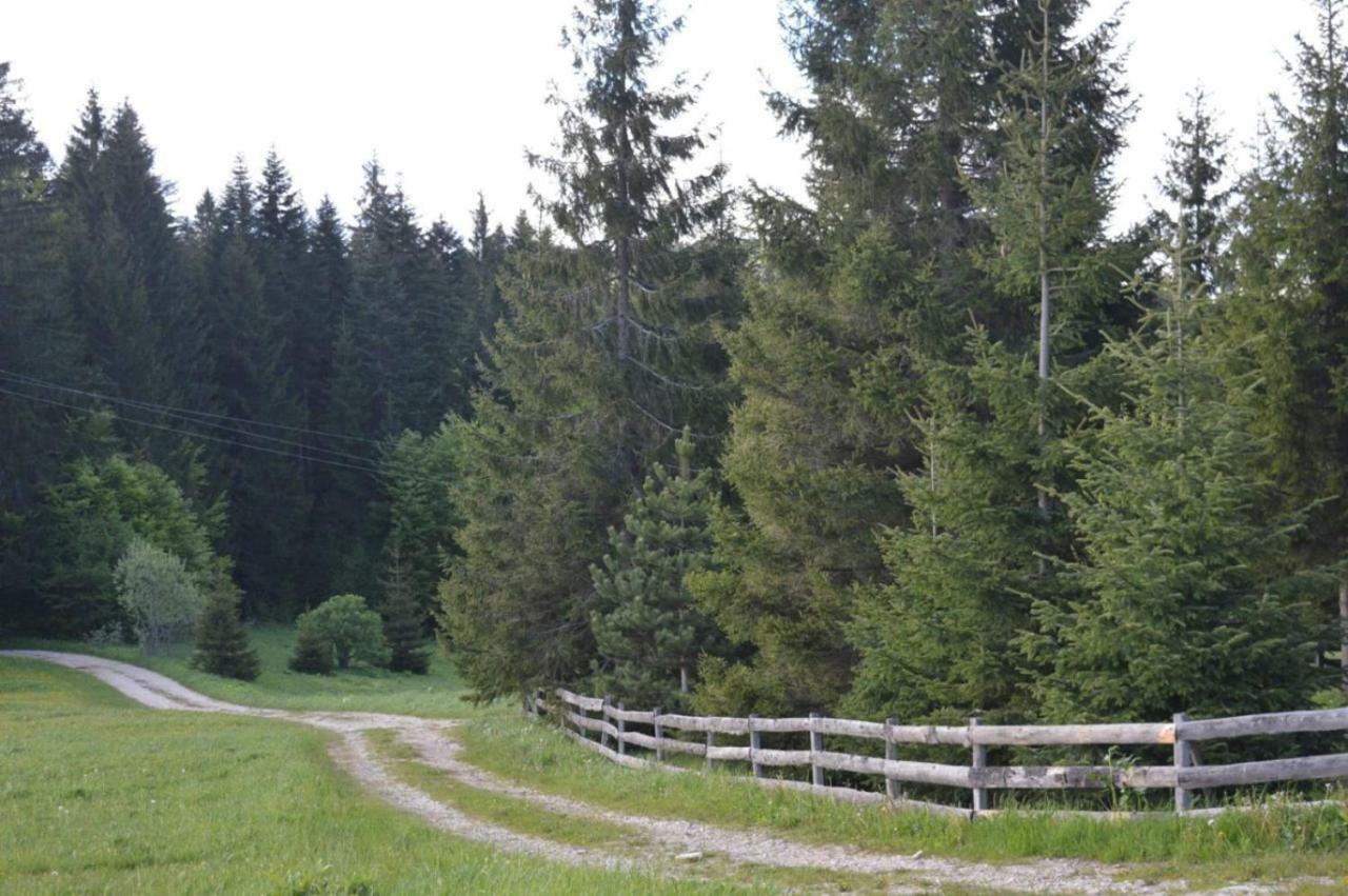 Mystic Forest Hostel Mitrovac Exterior photo