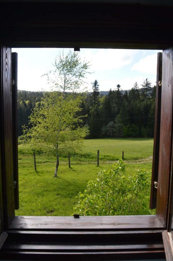 Mystic Forest Hostel Mitrovac Exterior photo
