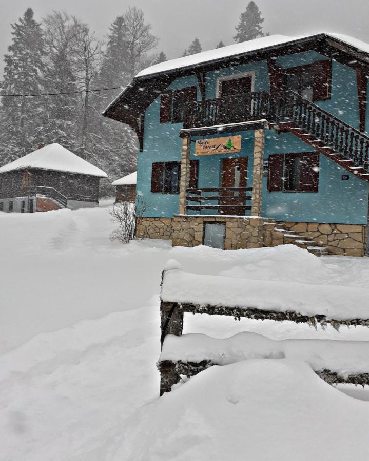 Mystic Forest Hostel Mitrovac Exterior photo